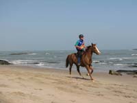 /international/2006Walvisbay/images/SeaLeg/thumbnails/racesealeg 028.jpg